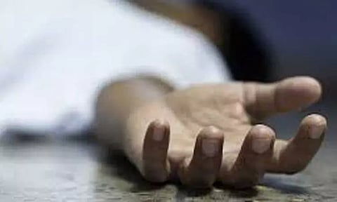 காஷ்மீர் சுற்றுலா சென்ற தமிழகத்தை சேர்ந்தவர் பலி - குதிரை சவாரியின்போது மரம் விழுந்து நசுக்கியது