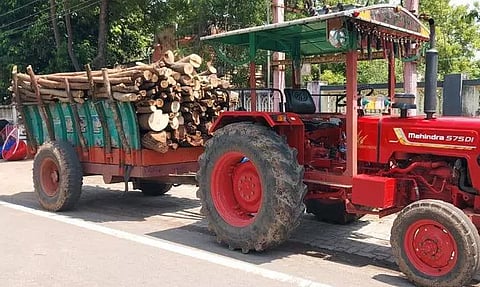 குளத்தில் மரங்களை வெட்டி கடத்த முயற்சி