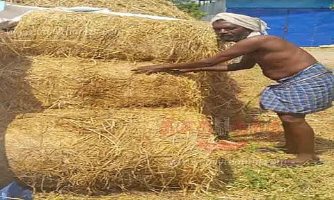 வைக்கோல் ஒரு கட்டு ரூ.130-க்கு விற்பனை