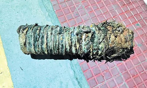 திருநின்றவூரில் பரபரப்பு: தண்டவாளத்தில் கிடந்த தென்னை மரக்கட்டை - ரெயிலை கவிழ்க்க சதியா? போலீசார் விசாரணை