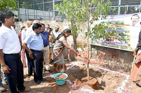 திருவாரூரில், நெடுஞ்சாலைத்துறை சார்பில் மரக்கன்றுகள் நடும் விழா