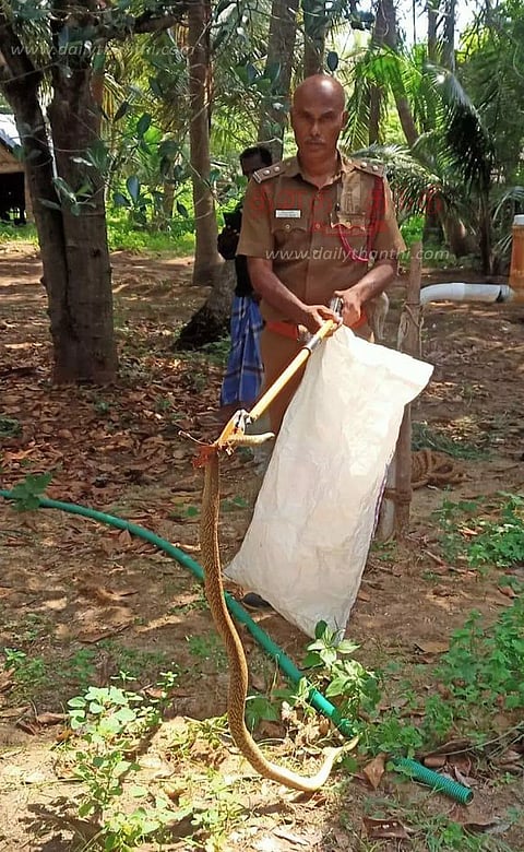 கிணற்றில் கிடந்த 7 அடி நீள நல்லபாம்பு