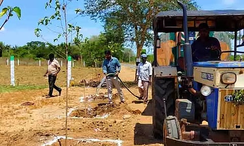 மரக்கன்றுகள் நடும் நிகழ்ச்சி