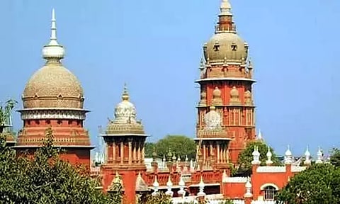 வெளிநாட்டு நாய்களை இறக்குமதி செய்ய தடை இல்லை - ஐகோர்ட்டு உத்தரவு