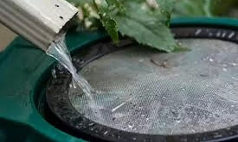 காட்சிப்பொருளான மழைநீர் சேகரிப்பு திட்டம்