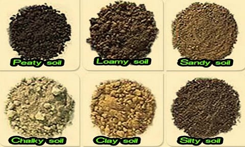 மண்ணின் வகைகள்