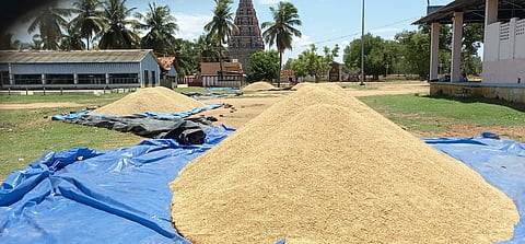 அரசு நேரடி நெல் கொள்முதல் நிலையம் திறக்க வேண்டும்