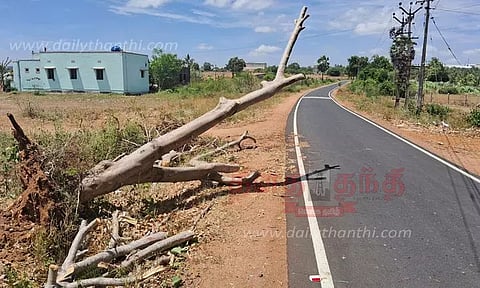 சாலையில் விழுந்த மரத்தால் விபத்து அபாயம்
