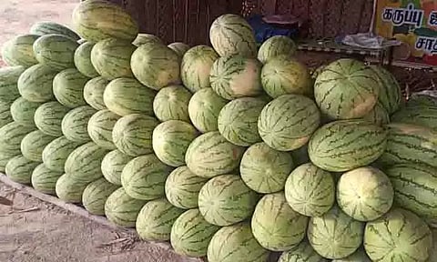 வெயிலின் தாக்கம் அதிகரிப்பு: நொய்யல் பகுதியில் தர்பூசணி விற்பனை அமோகம்