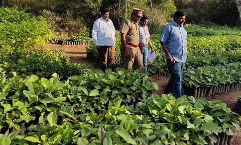 வனப் பாதுகாப்பு குறித்து அதிகாரிகள் திடீர் ஆய்வு