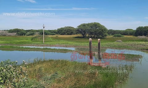 சக்கரக்கோட்டை சரணாலயத்தில் தண்ணீர் குறைந்தது