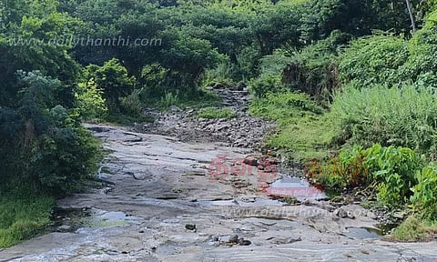 வறண்டு போன அன்னப்பாறை ஆறு; பாசனத்துக்கு தண்ணீர் தட்டுப்பாடு