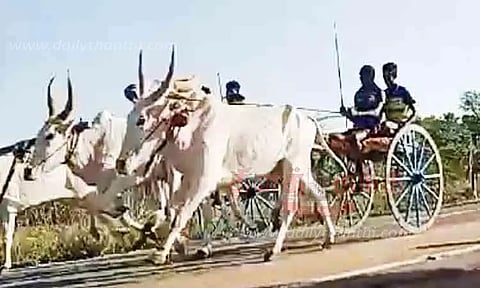 திருச்சுழி அருகே மாட்டுவண்டி பந்தயம்