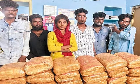 ஆந்திராவில் இருந்து எக்ஸ்பிரஸ் ரெயிலில் கஞ்சா கடத்தல்; பெண் உள்பட 6 பேர் கைது