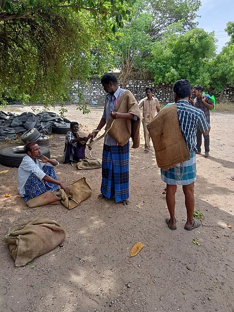 ஸ்ரீவைகுண்டம் அரசு போக்குவரத்து கழக பணிமனையில் 24 பாம்புகள் பிடிபட்டன