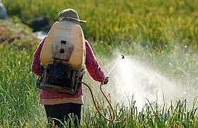 பூச்சிக் கொல்லிகளை அளவோடு பயன்படுத்த வேண்டும்