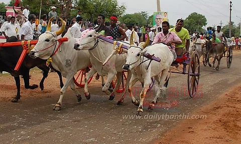 அ.தி.மு.க. சார்பில் மாட்டு வண்டி பந்தயம்