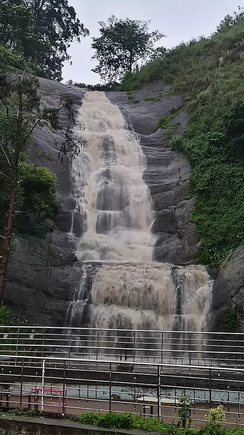 கொடைக்கானலில் கொட்டித்தீர்த்த கனமழை; அருவிகளில் வெள்ளப்பெருக்கு