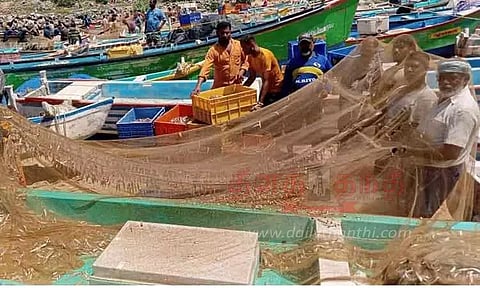 நெத்திலி மீன் விலை தொடர்ந்து வீழ்ச்சி