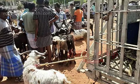முக்கூடல் சந்தையில் ரூ.1½கோடிக்கு ஆடுகள் விற்பனை