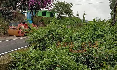 புதர் சூழ்ந்த பகுதியில் பதுங்கும் சிறுத்தைப்புலிகள்