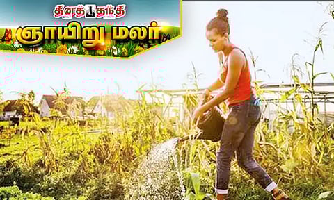 உடல் பருமனை கட்டுப்படுத்தும் காலை நேர பழக்கங்கள்