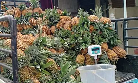 அன்னாசி பழம் வரத்து அதிகரிப்பு