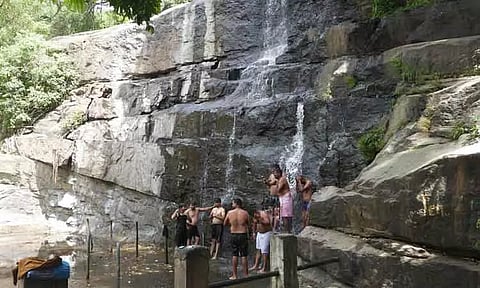 மேகமலை அருவியில் நீர்வரத்து குறைந்தது