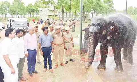 யானைகள் மறுவாழ்வு மையத்தில் அமைச்சர் ஆய்வு
