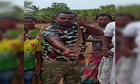 குடிநீர் தொட்டியில் கிடந்த உடும்பு