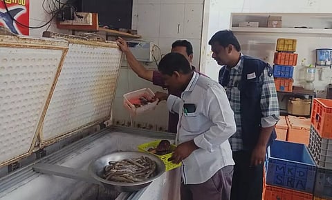 கம்பம் பகுதியில் 10 கிலோ கெட்டுப்போன மீன்கள் பறிமுதல்