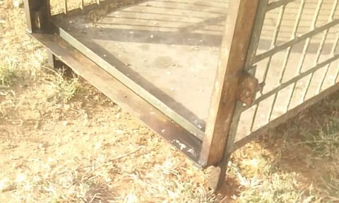 கூண்டை வட்டமிட்டு சிக்காமல் சென்ற சிறுத்தை