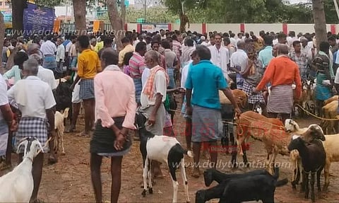 திருப்புவனம் சந்தையில் ரூ.2 கோடிக்கு ஆடுகள் விற்பனை