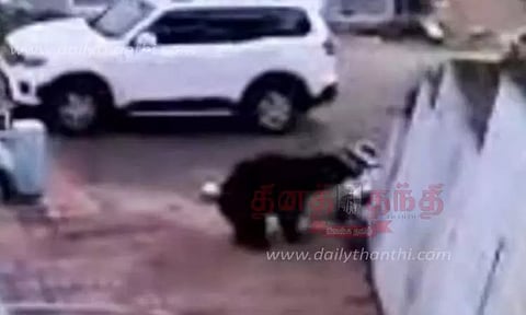 பள்ளிக்குள் புகுந்து பொருட்களை சேதப்படுத்திய கரடி