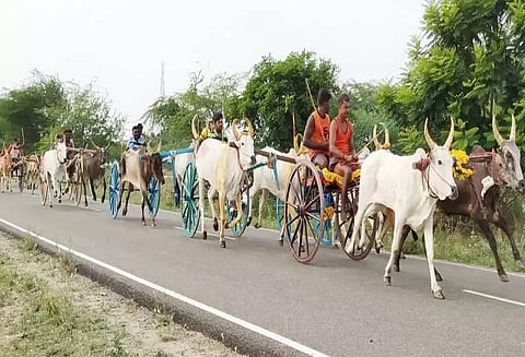 வல்லநாடு அருகே மாட்டு வண்டி பந்தயம்