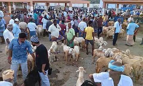 பள்ளப்பட்டியில், 2-வது நாளாக ஆட்டுச்சந்தை களை கட்டியது