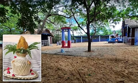 சிறுநாடார்குடியிருப்பு ஆலமரத்து சுடலைமாட சுவாமி கோவில் கும்பாபிஷேக விழா