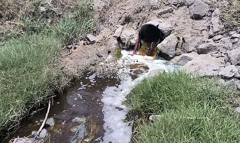 சாயக்கழிவு நீரால் பாழாகும் நொய்யல் ஆறு