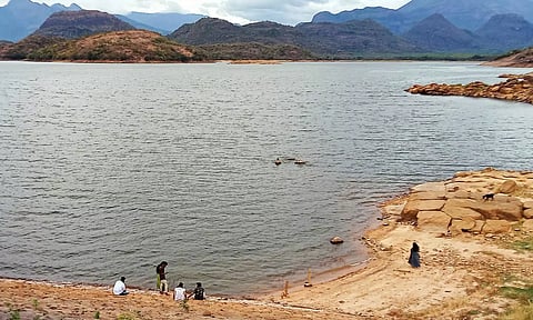 அமராவதி அணைப்பகுதியில் சுற்றுலா பயணிகள் அத்துமீறும் செயலால் உயிரிழக்கும் அபாயம்