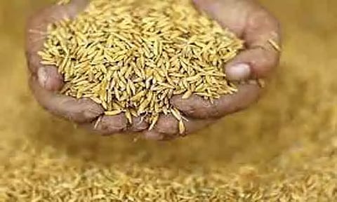 விதிகளை மீறிய ரூ.42 ஆயிரம் மதிப்புள்ள விதைகள் விற்பனை செய்ய தடை