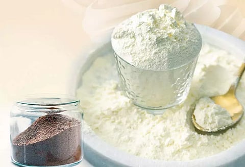 நிலையான வருமானம் அளிக்கும் 'ஐஸ்கிரீம் பிரீமிக்ஸ்' தயாரிப்பு