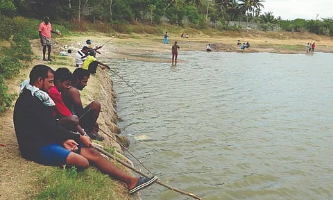 மாவு உருண்டை தூண்டிலைப் பயன்படுத்தி மீன் பிடிப்பதில் இளைஞர்கள் ஆர்வம்