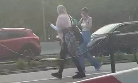 நியூயார்க் நகரின் மீது படையெடுத்த பூச்சிகள் கூட்டம் - பொதுமக்கள் அவதி