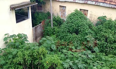 புதர் மண்டி கிடக்கும் அரசு மாணவர் விடுதி