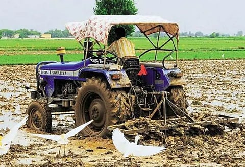 தேசிய தோட்டக்கலை இயக்கத்தின் மூலம்விவசாயிகள் மானியம் பெற்று பயன்பெறலாம்கலெக்டர் பழனி தகவல்