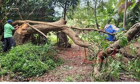 20 வீடுகளில் மின்சாதன பொருட்கள் சேதம்