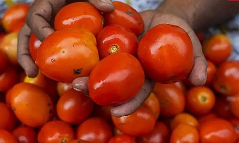 சென்னையில் தக்காளி விலை கிலோவுக்கு ரூ.5 குறைந்தது..!!