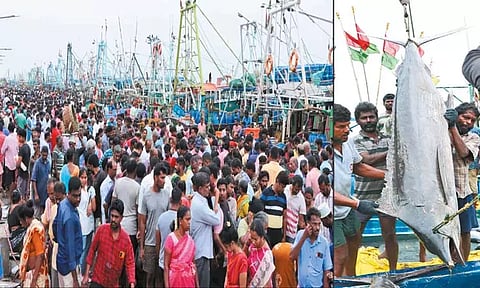 காசிமேடு மீன்பிடி துறைமுகத்தில் விற்பனைக்கு குவிந்த பெரிய வகை மீன்கள்