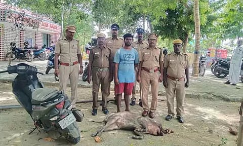 காட்டுப்பன்றியை வேட்டையாடியவர் கைது