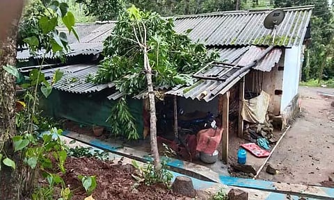 பந்தலூர் அருகே காட்டு யானைகள் அட்டகாசம்